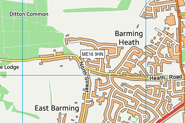 ME16 9HN map - OS VectorMap District (Ordnance Survey) ME16 9HN map - OS VectorMap District (Ordnance Survey)