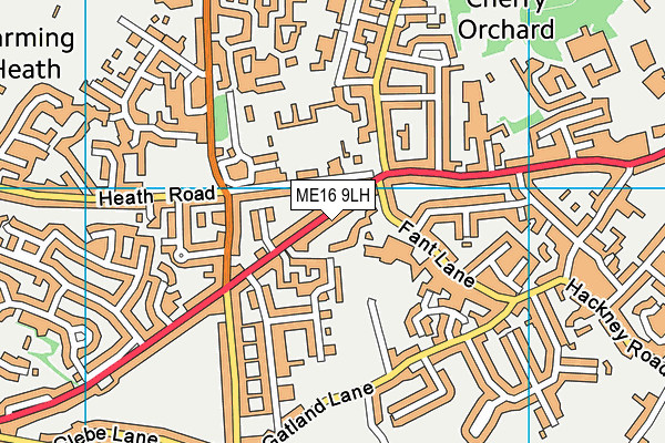 ME16 9LH map - OS VectorMap District (Ordnance Survey) ME16 9LH map - OS VectorMap District (Ordnance Survey)