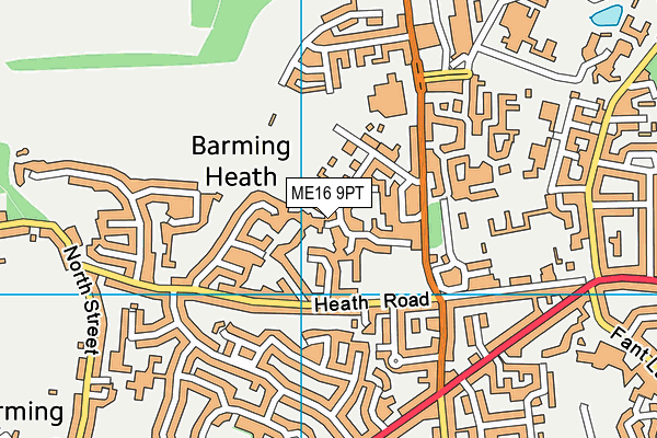 ME16 9PT map - OS VectorMap District (Ordnance Survey)
