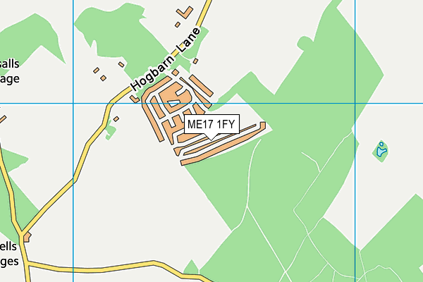 ME17 1FY map - OS VectorMap District (Ordnance Survey) ME17 1FY map - OS VectorMap District (Ordnance Survey)