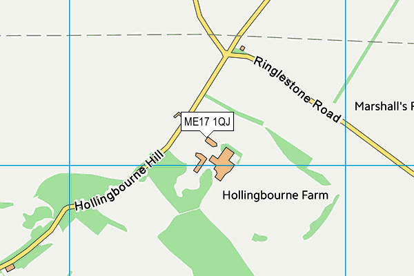 ME17 1QJ map - OS VectorMap District (Ordnance Survey)