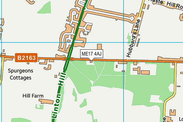 ME17 4AJ map - OS VectorMap District (Ordnance Survey)