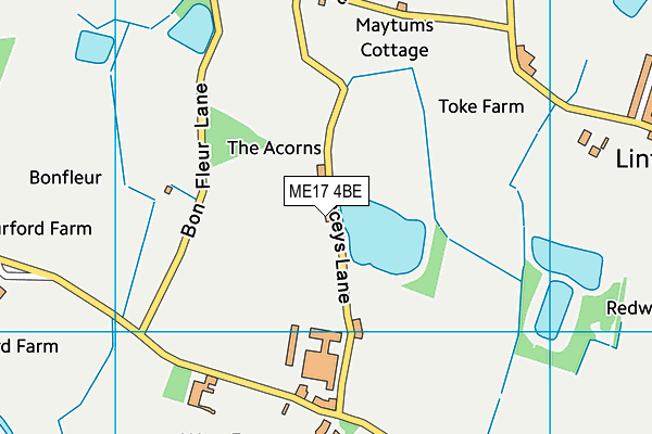 ME17 4BE map - OS VectorMap District (Ordnance Survey) ME17 4BE map - OS VectorMap District (Ordnance Survey)