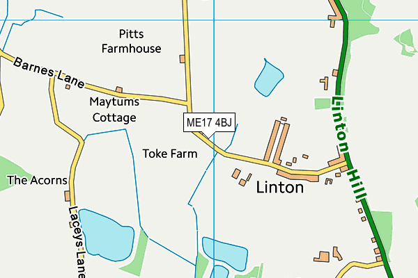 ME17 4BJ map - OS VectorMap District (Ordnance Survey) ME17 4BJ map - OS VectorMap District (Ordnance Survey)