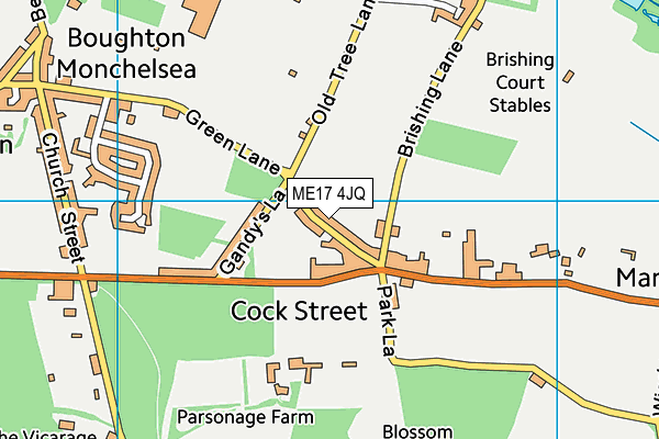 ME17 4JQ map - OS VectorMap District (Ordnance Survey)