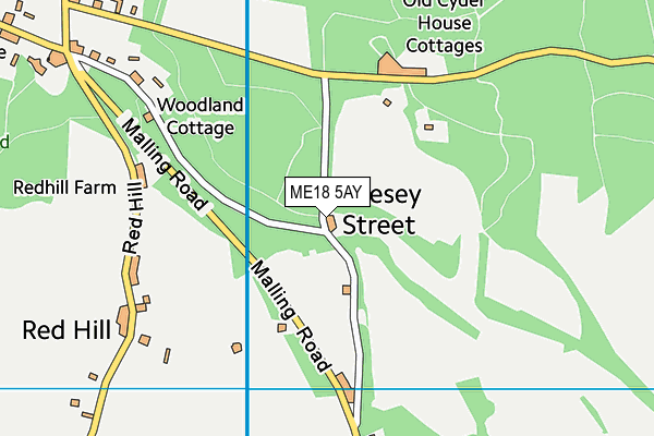 ME18 5AY map - OS VectorMap District (Ordnance Survey)