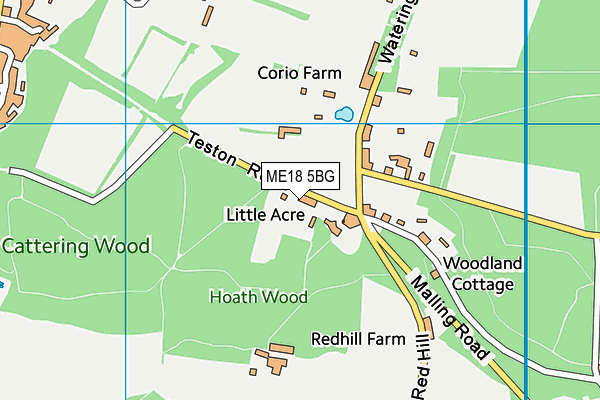 ME18 5BG map - OS VectorMap District (Ordnance Survey) ME18 5BG map - OS VectorMap District (Ordnance Survey)