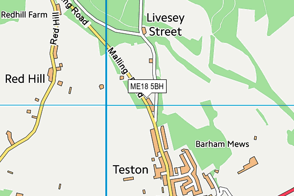 ME18 5BH map - OS VectorMap District (Ordnance Survey) ME18 5BH map - OS VectorMap District (Ordnance Survey)