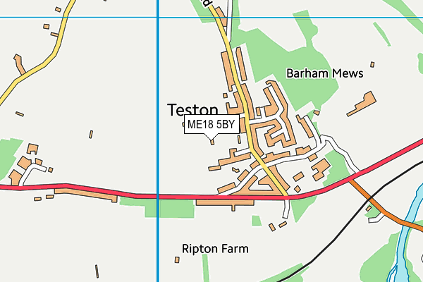 ME18 5BY map - OS VectorMap District (Ordnance Survey) ME18 5BY map - OS VectorMap District (Ordnance Survey)
