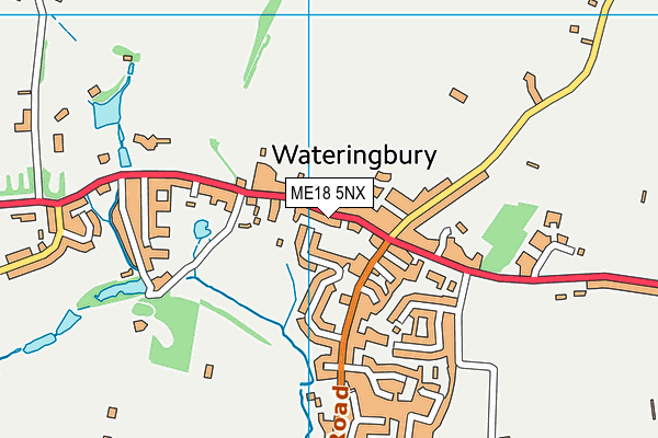 ME18 5NX map - OS VectorMap District (Ordnance Survey)