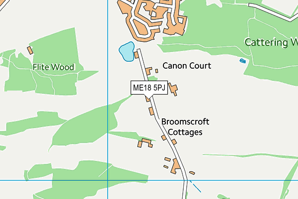 ME18 5PJ map - OS VectorMap District (Ordnance Survey) ME18 5PJ map - OS VectorMap District (Ordnance Survey)
