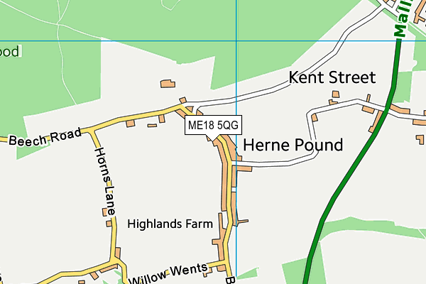 ME18 5QG map - OS VectorMap District (Ordnance Survey) ME18 5QG map - OS VectorMap District (Ordnance Survey)