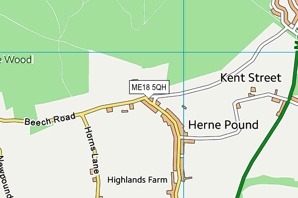 ME18 5QH map - OS VectorMap District (Ordnance Survey)