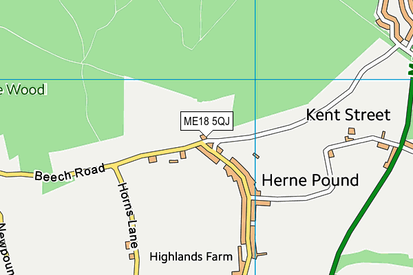 ME18 5QJ map - OS VectorMap District (Ordnance Survey) ME18 5QJ map - OS VectorMap District (Ordnance Survey)
