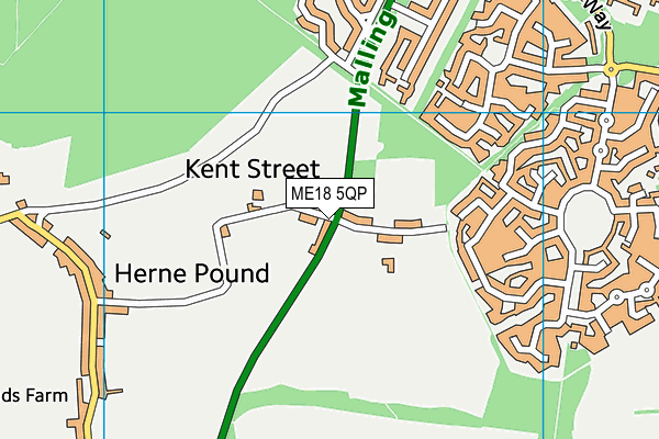 ME18 5QP map - OS VectorMap District (Ordnance Survey) ME18 5QP map - OS VectorMap District (Ordnance Survey)