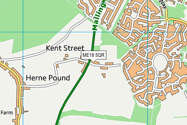 ME18 5QR map - OS VectorMap District (Ordnance Survey) ME18 5QR map - OS VectorMap District (Ordnance Survey)