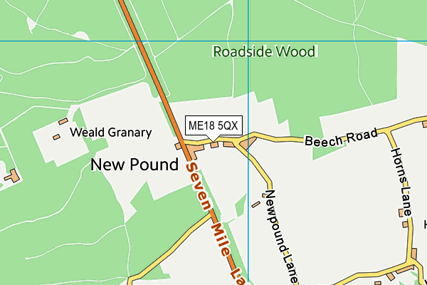 ME18 5QX map - OS VectorMap District (Ordnance Survey) ME18 5QX map - OS VectorMap District (Ordnance Survey)