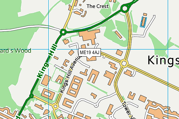 ME19 4AJ map - OS VectorMap District (Ordnance Survey) ME19 4AJ map - OS VectorMap District (Ordnance Survey)