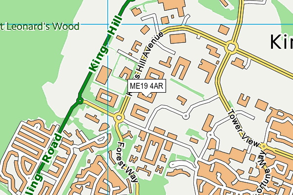 ME19 4AR map - OS VectorMap District (Ordnance Survey) ME19 4AR map - OS VectorMap District (Ordnance Survey)