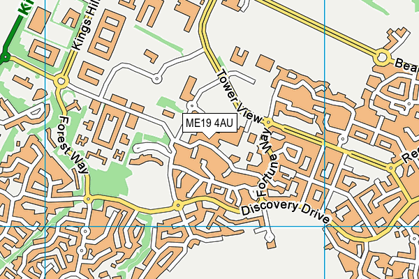 ME19 4AU map - OS VectorMap District (Ordnance Survey) ME19 4AU map - OS VectorMap District (Ordnance Survey)