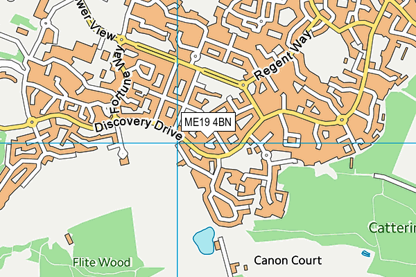 ME19 4BN map - OS VectorMap District (Ordnance Survey) ME19 4BN map - OS VectorMap District (Ordnance Survey)