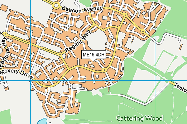 ME19 4DH map - OS VectorMap District (Ordnance Survey) ME19 4DH map - OS VectorMap District (Ordnance Survey)