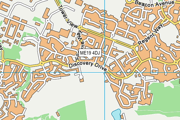 ME19 4DJ map - OS VectorMap District (Ordnance Survey) ME19 4DJ map - OS VectorMap District (Ordnance Survey)