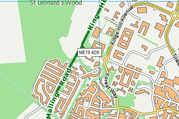 ME19 4DX map - OS VectorMap District (Ordnance Survey) ME19 4DX map - OS VectorMap District (Ordnance Survey)