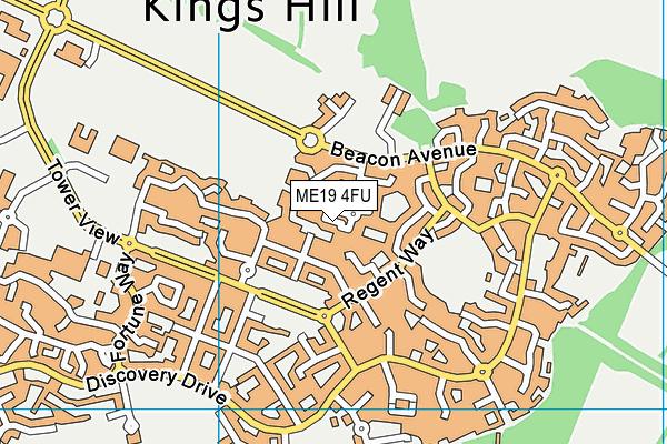 ME19 4FU map - OS VectorMap District (Ordnance Survey) ME19 4FU map - OS VectorMap District (Ordnance Survey)