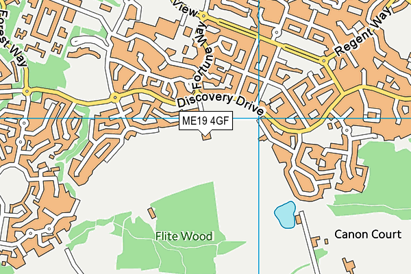 ME19 4GF map - OS VectorMap District (Ordnance Survey) ME19 4GF map - OS VectorMap District (Ordnance Survey)