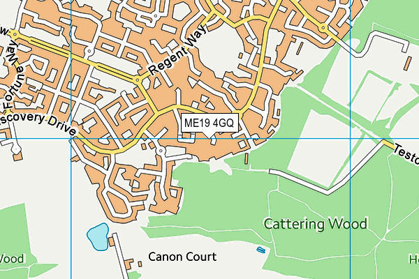 ME19 4GQ map - OS VectorMap District (Ordnance Survey) ME19 4GQ map - OS VectorMap District (Ordnance Survey)