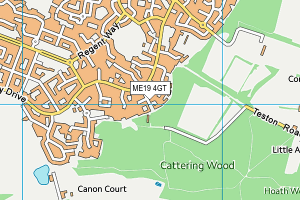 ME19 4GT map - OS VectorMap District (Ordnance Survey) ME19 4GT map - OS VectorMap District (Ordnance Survey)
