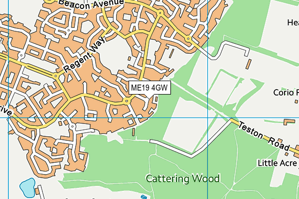 ME19 4GW map - OS VectorMap District (Ordnance Survey) ME19 4GW map - OS VectorMap District (Ordnance Survey)