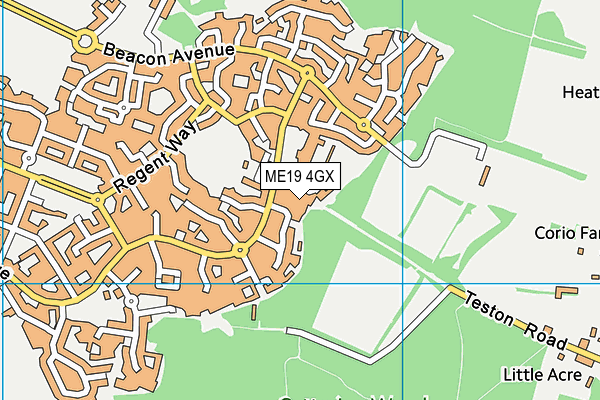 ME19 4GX map - OS VectorMap District (Ordnance Survey) ME19 4GX map - OS VectorMap District (Ordnance Survey)