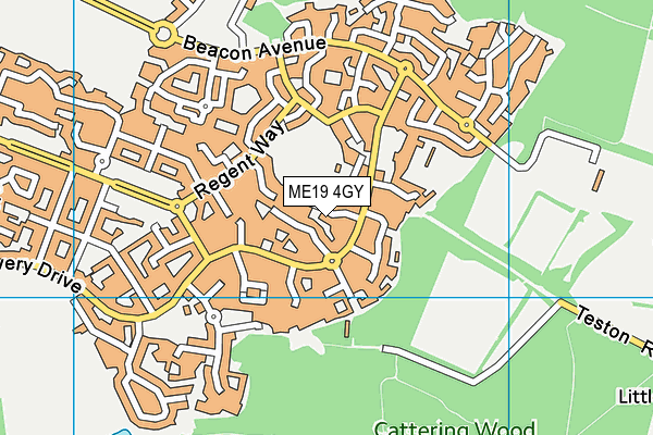 ME19 4GY map - OS VectorMap District (Ordnance Survey)