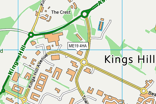 ME19 4HA map - OS VectorMap District (Ordnance Survey) ME19 4HA map - OS VectorMap District (Ordnance Survey)