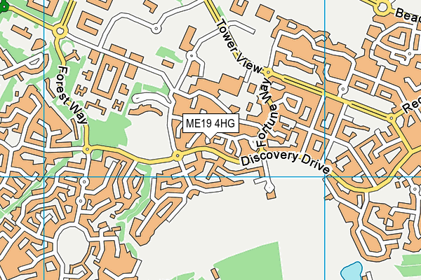 ME19 4HG map - OS VectorMap District (Ordnance Survey) ME19 4HG map - OS VectorMap District (Ordnance Survey)