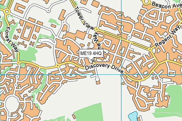 ME19 4HQ map - OS VectorMap District (Ordnance Survey) ME19 4HQ map - OS VectorMap District (Ordnance Survey)
