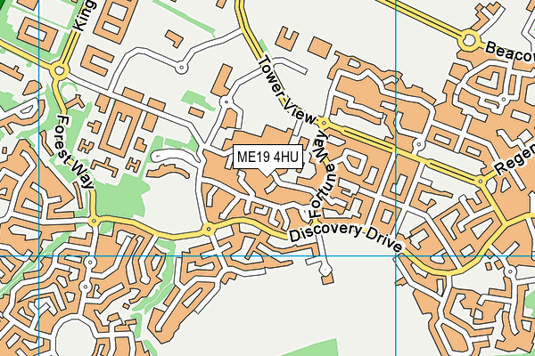 ME19 4HU map - OS VectorMap District (Ordnance Survey) ME19 4HU map - OS VectorMap District (Ordnance Survey)