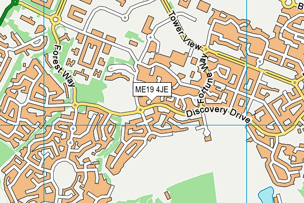 ME19 4JE map - OS VectorMap District (Ordnance Survey) ME19 4JE map - OS VectorMap District (Ordnance Survey)