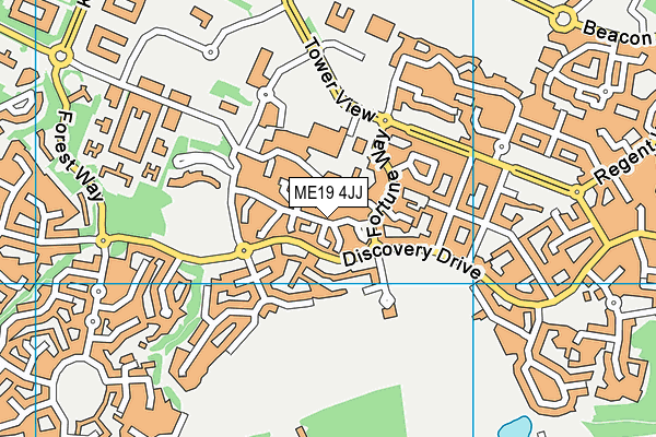 ME19 4JJ map - OS VectorMap District (Ordnance Survey) ME19 4JJ map - OS VectorMap District (Ordnance Survey)