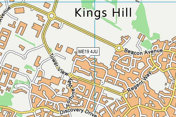 ME19 4JU map - OS VectorMap District (Ordnance Survey) ME19 4JU map - OS VectorMap District (Ordnance Survey)