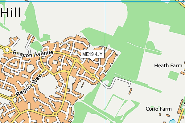 ME19 4JY map - OS VectorMap District (Ordnance Survey) ME19 4JY map - OS VectorMap District (Ordnance Survey)