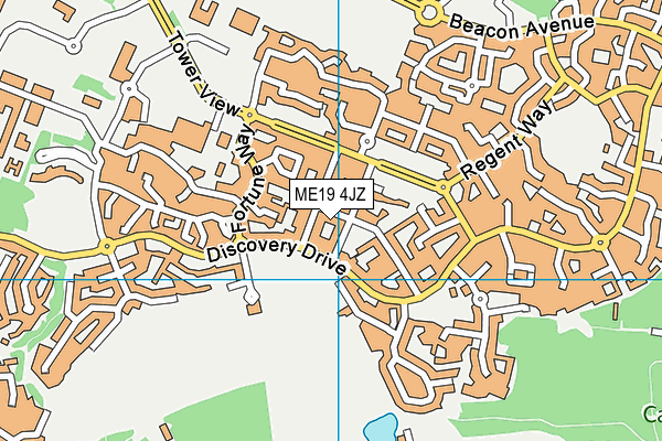 ME19 4JZ map - OS VectorMap District (Ordnance Survey) ME19 4JZ map - OS VectorMap District (Ordnance Survey)
