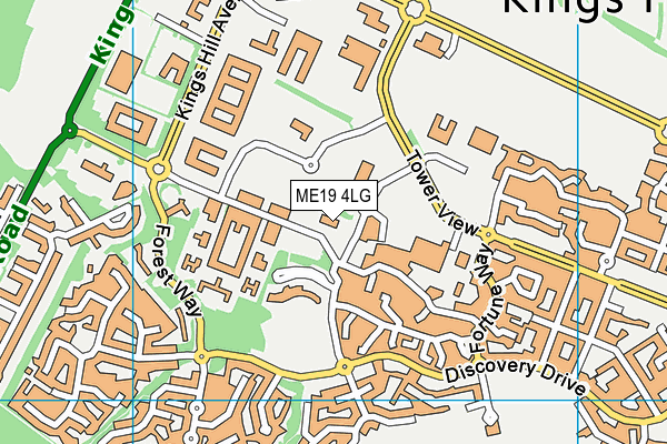 ME19 4LG map - OS VectorMap District (Ordnance Survey) ME19 4LG map - OS VectorMap District (Ordnance Survey)