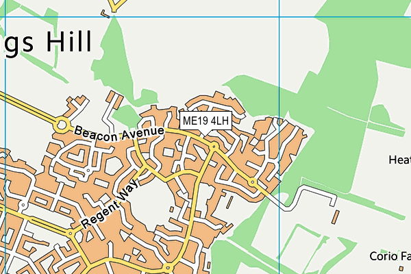 ME19 4LH map - OS VectorMap District (Ordnance Survey) ME19 4LH map - OS VectorMap District (Ordnance Survey)