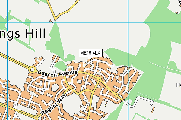 ME19 4LX map - OS VectorMap District (Ordnance Survey) ME19 4LX map - OS VectorMap District (Ordnance Survey)