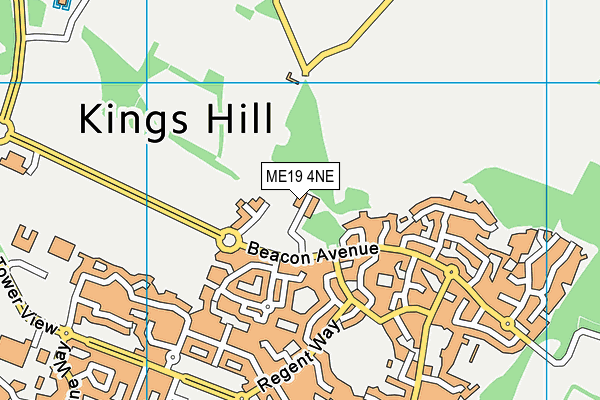 ME19 4NE map - OS VectorMap District (Ordnance Survey) ME19 4NE map - OS VectorMap District (Ordnance Survey)