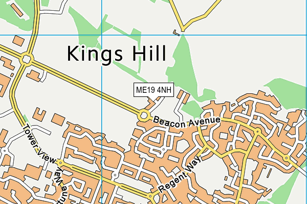 ME19 4NH map - OS VectorMap District (Ordnance Survey) ME19 4NH map - OS VectorMap District (Ordnance Survey)