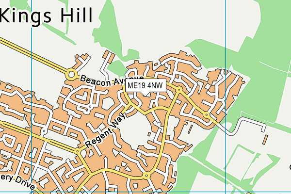 ME19 4NW map - OS VectorMap District (Ordnance Survey) ME19 4NW map - OS VectorMap District (Ordnance Survey)